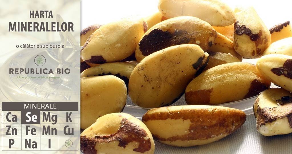 Borna 2 pe harta mineralelor: seleniu, mineralul pentru o minte brici!