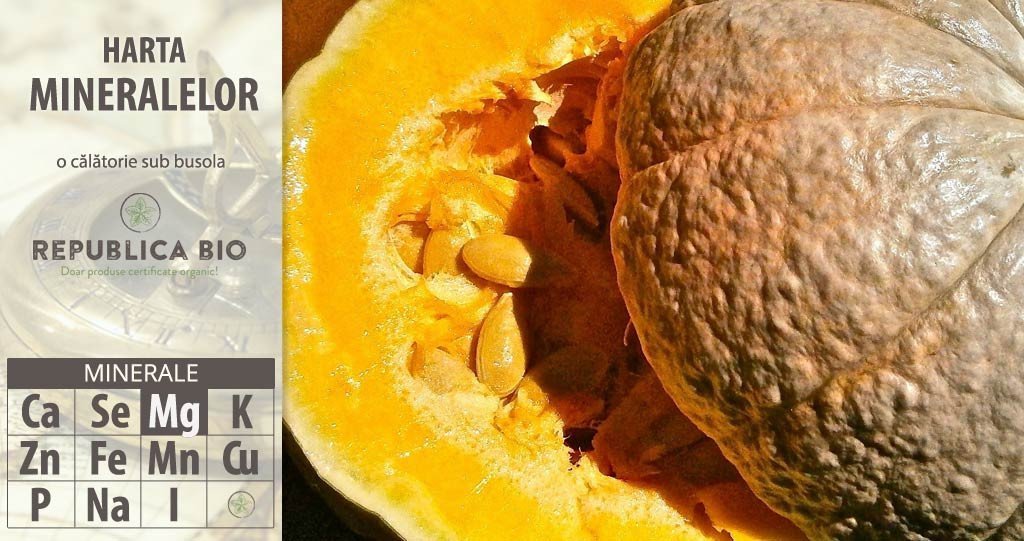 Borna 3 pe harta mineralelor: Magneziu, pentru dinți sănătoși și oase puternice