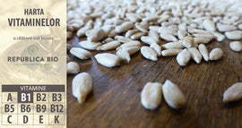 Borna 2 pe hartă: vitamina B1, pastila minune antistres