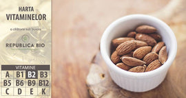 Borna 3 pe hartă: vitamina B2, energizantul natural