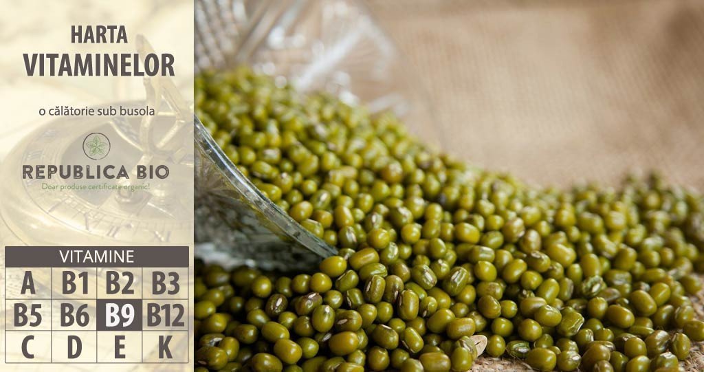 Borna 7 pe hartă: vitamina B9, suplimentul pentru viitoarele mămici