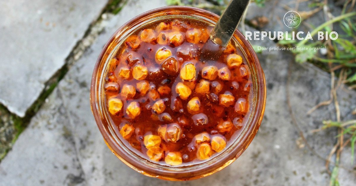 Cătina, proprietăți și beneficii care i-au adus denumirea de “ginseng românesc”