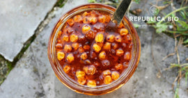 Cătina, proprietăți și beneficii care i-au adus denumirea de “ginseng românesc”