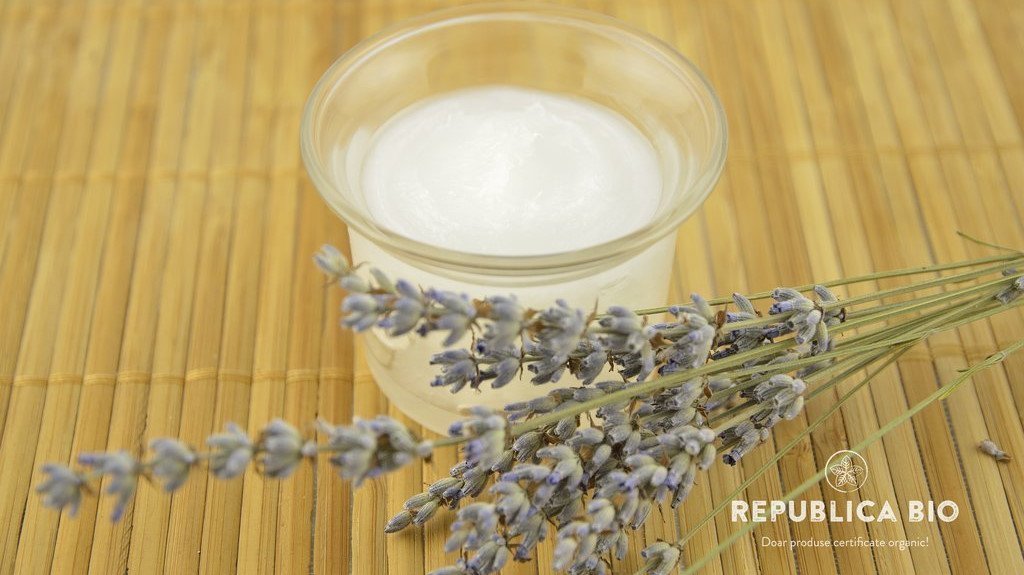 Vara, ţânţarii sunt o problemă. Soluţia anti-țânțari vine din natură, află cum s-o prepari ușor