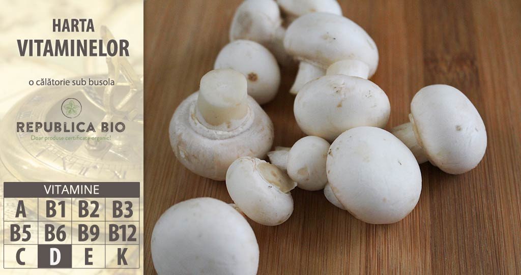 Borna 10 pe hartă: vitamina D sau „vitamina soarelui”