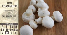 Borna 10 pe hartă: vitamina D sau „vitamina soarelui”