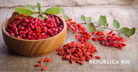 Fructele de goji: beneficii, proprietăți, consum și contraindicații