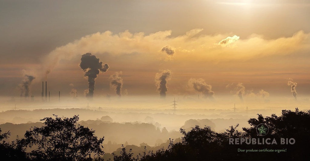 Vitamina B, benefică împotriva efectelor poluării asupra organismului