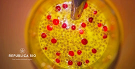 Reţeta de turmerişor a Ioanei, colega noastră