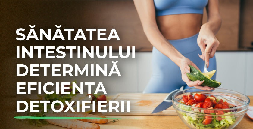 Sănătatea intestinului determină eficiența detoxifierii