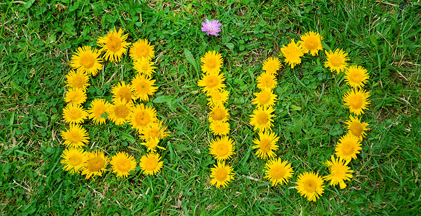 Video: cât de puţin bio produce România?