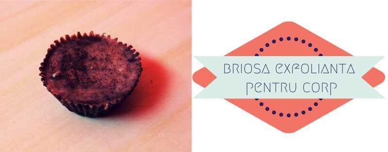 Brioşă exfoliantă pentru corp şi câteva sfaturi utile de îngrijire a pielii, de Sibel Grigore