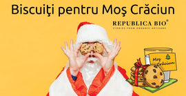 Biscuiţi pentru Moş Crăciun
