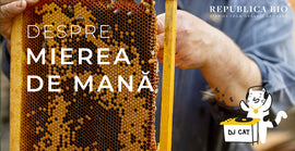 Despre mierea de mană și proprietățile ei