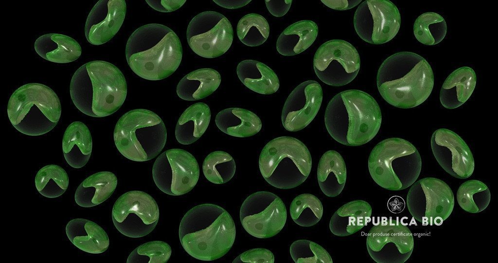 Azi îţi spun cu ce să-ți detoxifici bine organismul. Azi îţi spun despre chlorella!