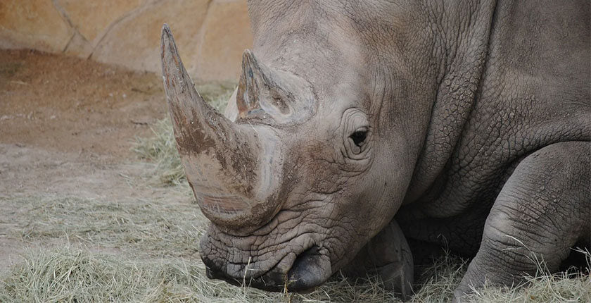 Nu ne mai ajunge Pământul. Ce facem? Plecăm sau ne schimbăm?