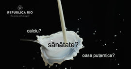 Mitul laptelui. Sănătos sau nu?