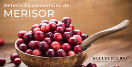 Beneficiile consumului de merișor