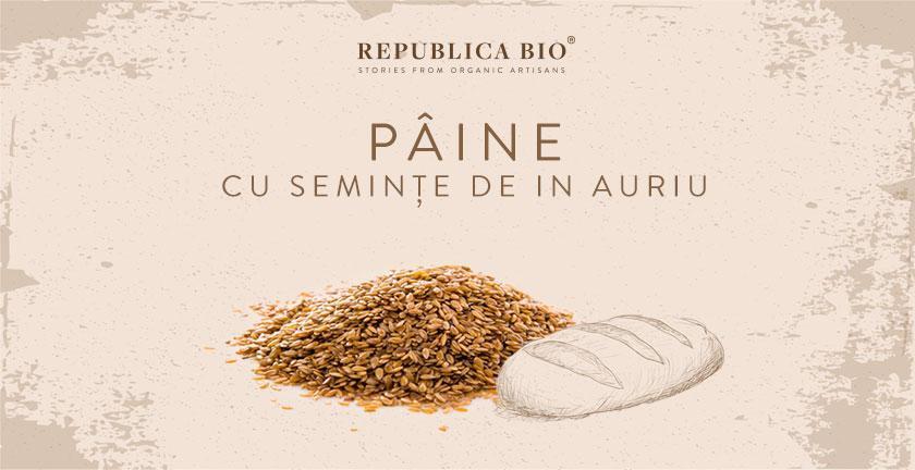 Pâine fără gluten şi fără drojdie, cu seminţe de in auriu