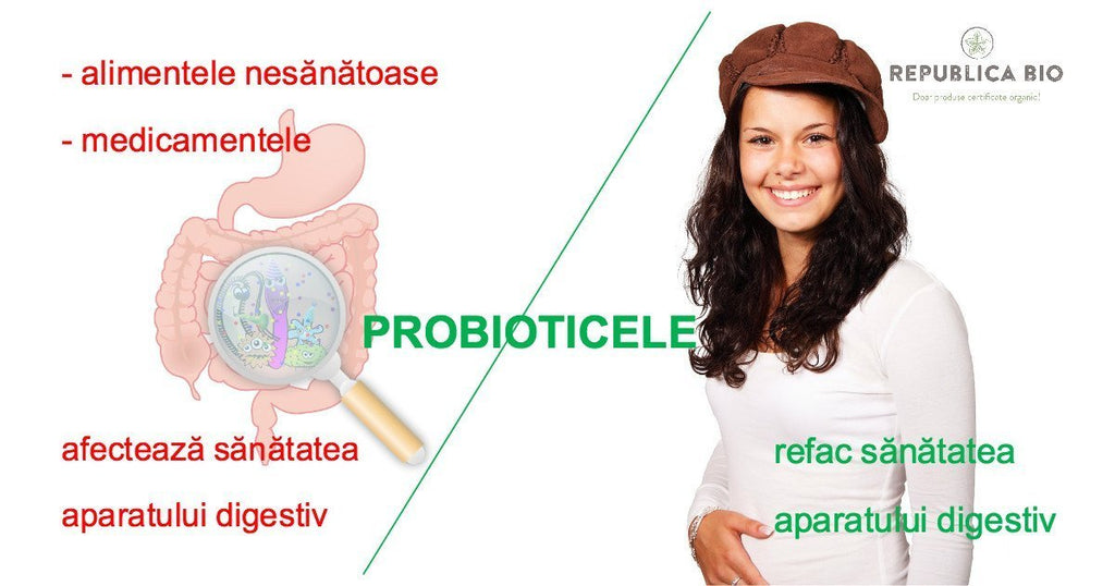Şapte alimente despre care nu știai cât sunt de bogate în probiotice