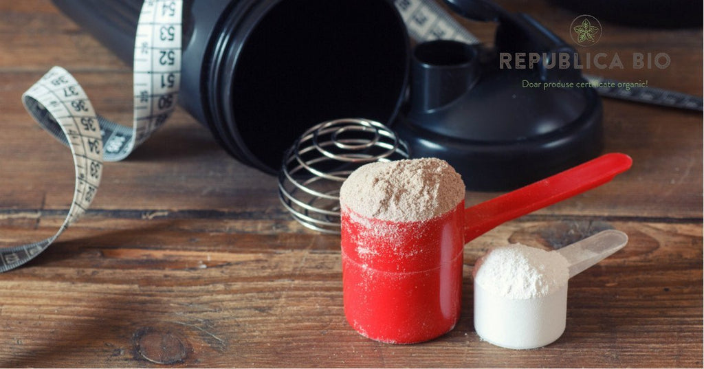 Pudre proteice vegetale sau animale? Care sunt cele mai bune?