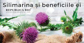 Silimarina și beneficiile ei