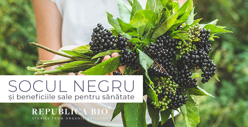 Socul negru și beneficiile sale pentru sănătate