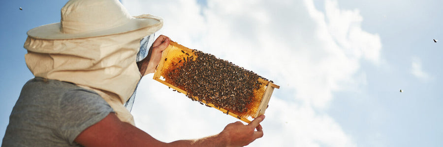 Miere de Manuka MELORA – o miere premiata cu Aur la prestigioasa Competitie Internationala de Calitate a Mierii de la Londra, in 2022