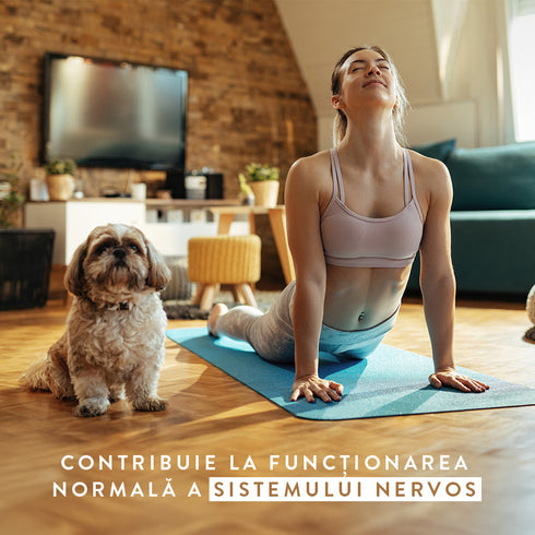 m12 Complete B Vitamins + Magnesium Bisglycinate, 30 capsule, 19,83 g, Molecules of Youth, natural