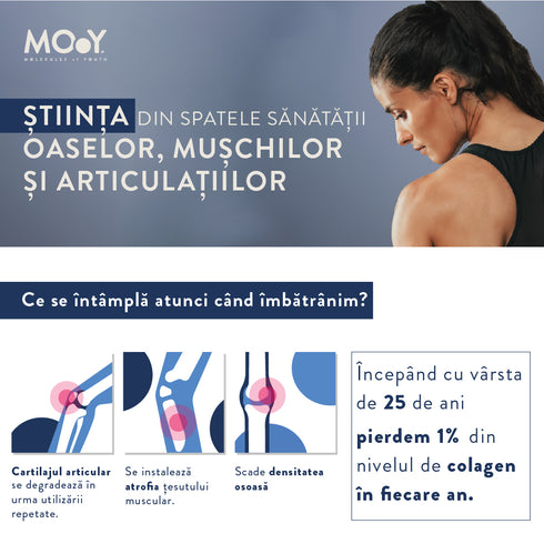 m34 PRO Colagen hidrolizat bovin premium, dovedit clinic, articulatii, 7.000mg tip I, II si III, aroma capsuni si lime, 30 portii, 390 g, Molecules of Youth, natural