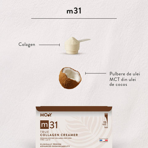 m31 True collagen creamer, colagen hidrolizat bovin premium monodoza, dovedit clinic, beauty, 5.000mg, tip I si III, fara aroma, 15 plicuri, 105 g, Molecules of Youth, natural