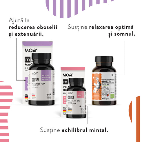 INNER ZEN, pachet promotional (Ashwagandha + m13 Bioactive B12 + m35 Complete Magnesium), NATURAL, VEGAN, 94.7 g