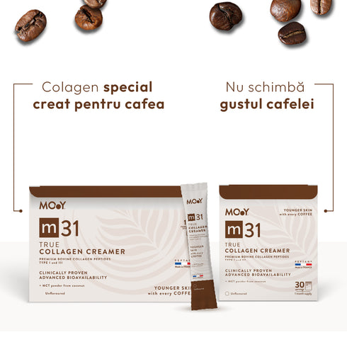 Dual Experience m31 True Collagen Creamer