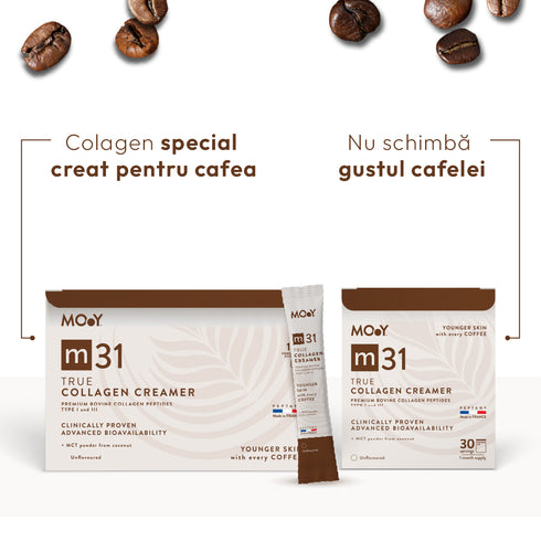 Complet Experience m31 True collagen creamer