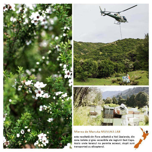 Miere de Manuka MANUKA LAB, MGO 850+ Noua Zeelanda, 250 g, naturala