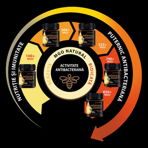 Miere de Manuka MELORA, MGO 300+ (UMF10+) Noua Zeelanda, 500 g, naturala