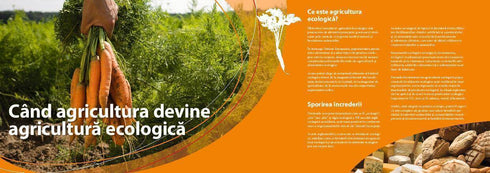 O Bucătărie Naturală - eBook