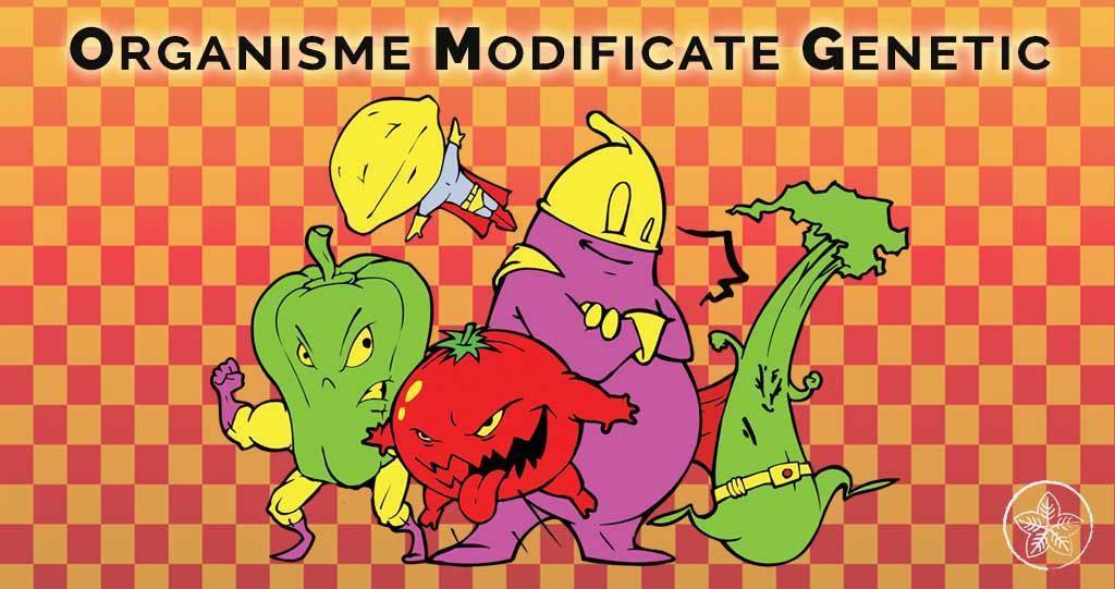 Analiză asupra riscurilor pe care consumul de Organisme Modificate Genetic îl are pentru sănătate