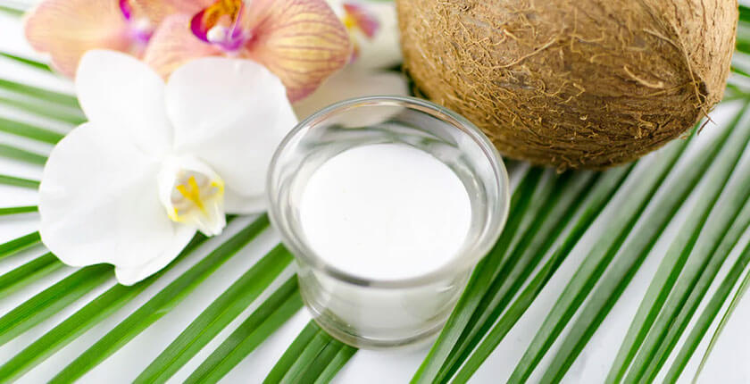 Republica BIO pregătește o surpriză pentru Veg Fest