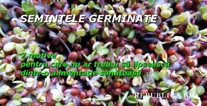 Dilema semințelor pentru germinat: le pun în jardinieră sau le mănânc?