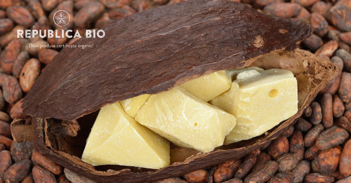 Totul despre untul de cacao: beneficii, proprietăți, utilizare, rețete