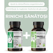 RINICHI Sanatosi, pachet promotional (Moringa + Chorella), BIO, RAW, VEGAN