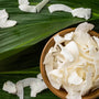 Chipsuri bio din nuca de cocos raw, fara gluten Republica BIO, 150 g, ecologic